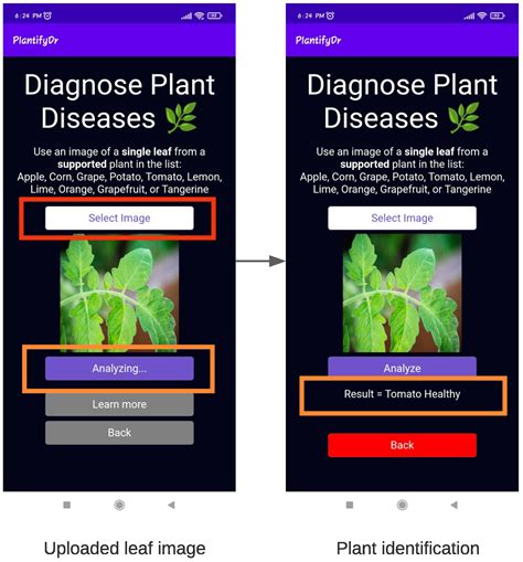 Free app to diagnose plant problems. Things To Know About Free app to diagnose plant problems. 